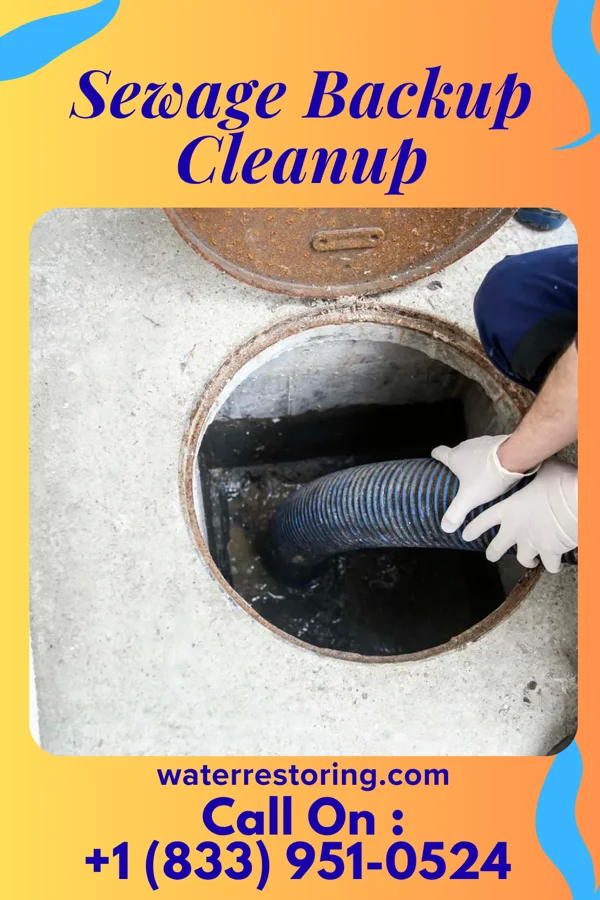 Sewage Backup Cleanup in Merryville, LA