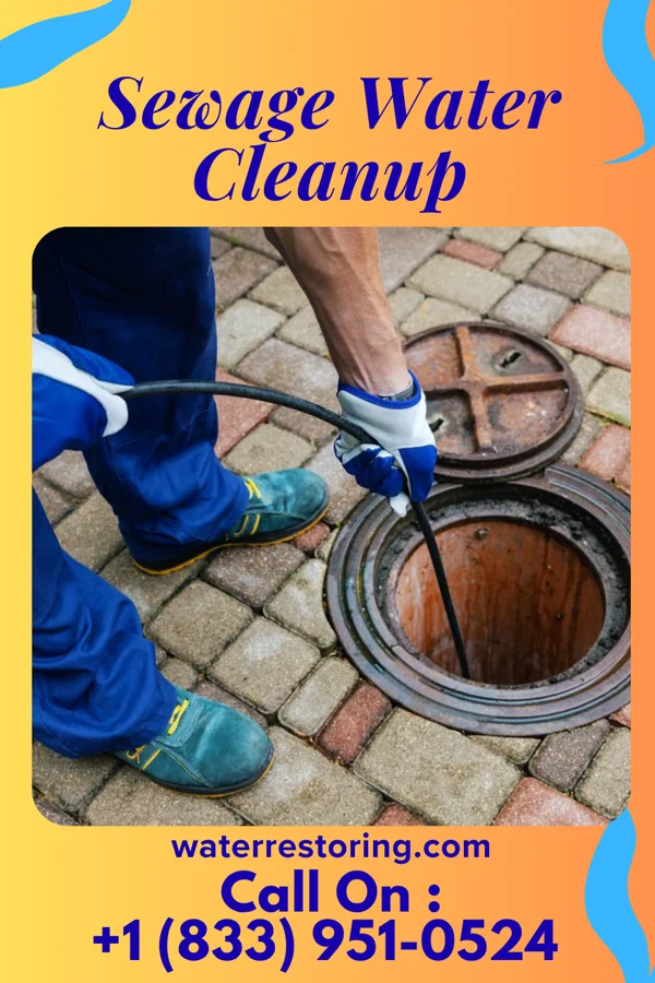 Sewage Water Cleanup in Merryville, LA