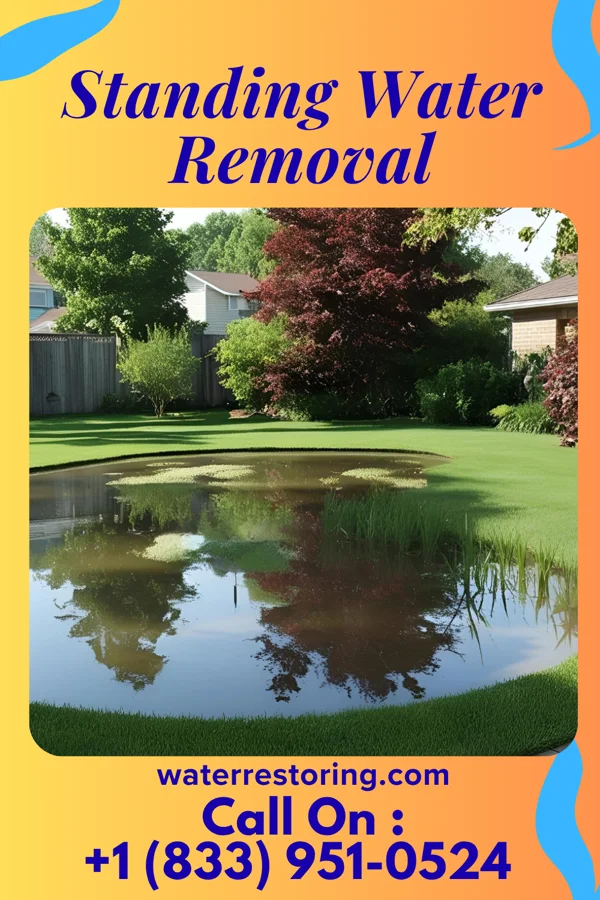 Standing Water Removal in Merryville, LA